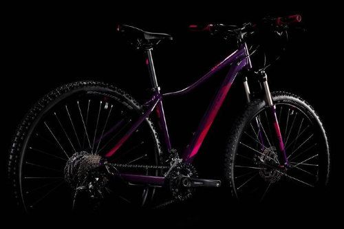 Cube Access WS Race 29 2019