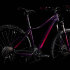 Cube Access WS Race 29 2019
