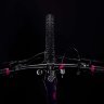 Cube Access WS Race 29 2019