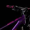 Cube Access WS Race 29 2019