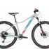 Горный велосипед Cube Access WS SL Eagle 29 (2019) серый