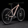 Велосипед Cube Access WS EAZ 29 blushmetallic´n´flashyellow (2022)