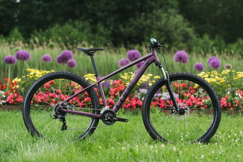 Велосипед Cube Access WS 29 deepviolet´n´purple (2022)