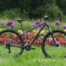 Велосипед Cube Access WS 29 deepviolet´n´purple (2022)