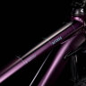 Велосипед Cube Access WS 29 deepviolet´n´purple (2022)